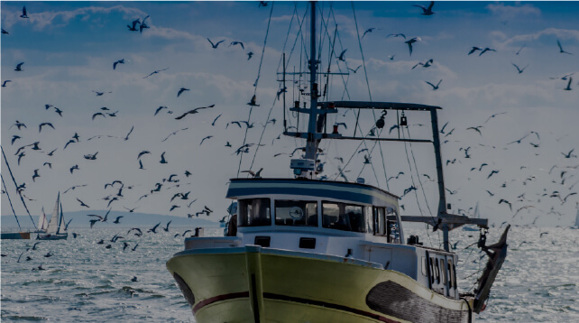 Dissalatore nautico Urania Marine Serie HD